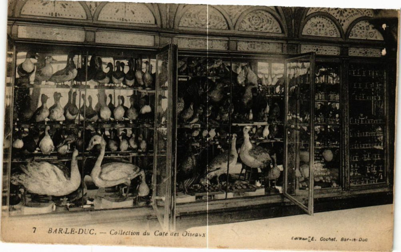 Carte postale ancienne Bar le Duc-Collection du Café des Oiseaux à Bar-le-Duc