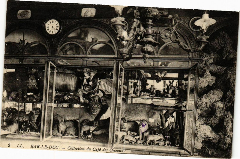 Carte postale ancienne Bar le Duc-Collection du Café des Oiseaux à Bar-le-Duc