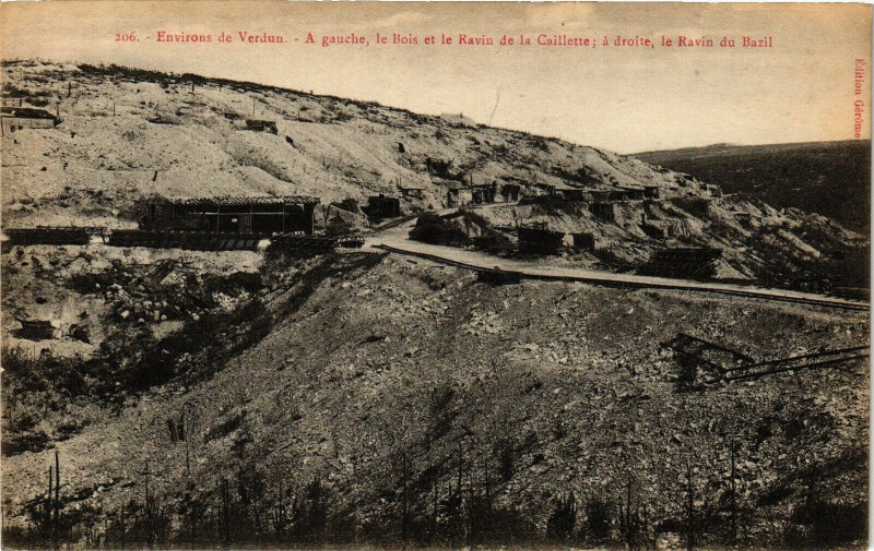 Carte postale ancienne Verdun-A gauche le Bois et le Ravin de la Caillette à Verdun