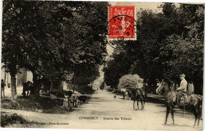 Carte postale ancienne Commercy-Avenue des Tilleuls à Commercy