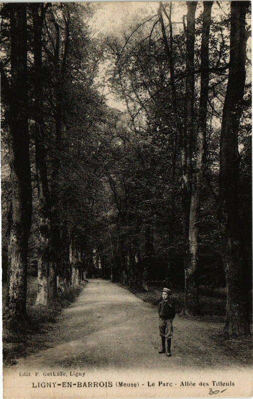 Carte postale ancienne Ligny-en-Barrois (Meuse) -Le Parc- Allée des Tilleuls à Ligny-en-Barrois