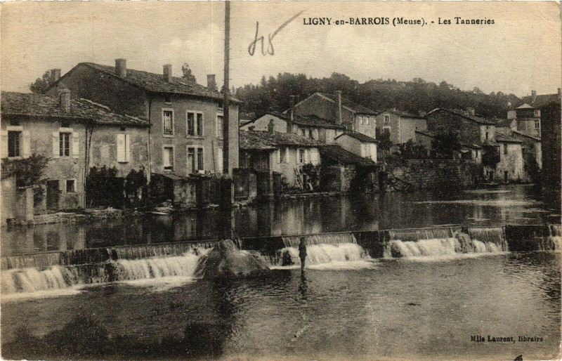 Carte postale ancienne Ligny-en-Barrois (Meuse) - Les Tanneires à Ligny-en-Barrois