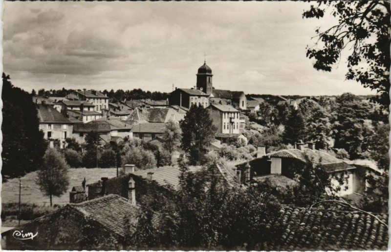 Carte postale ancienne Monthureux-sur-Saone Vue générale sur le Centre à Monthureux-sur-Saône