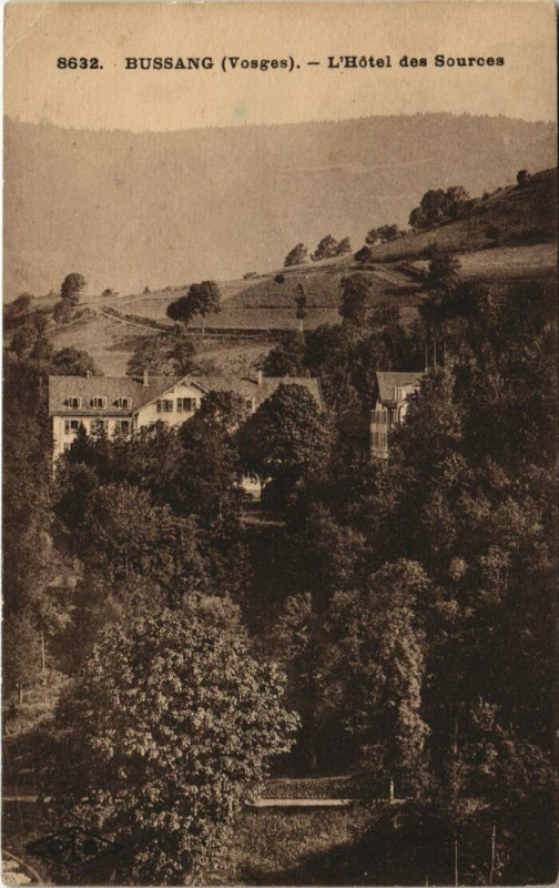 Carte postale ancienne Bussang L'Hotel des Sources à Bussang
