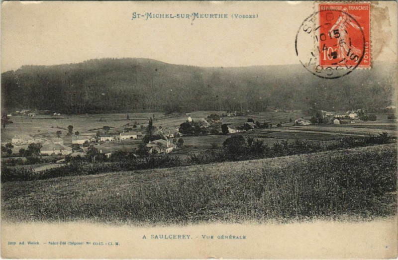 Carte postale ancienne Saint-Michel-sur-Meurthe A SAULCErey Vue générale à Saint-Michel-sur-Meurthe