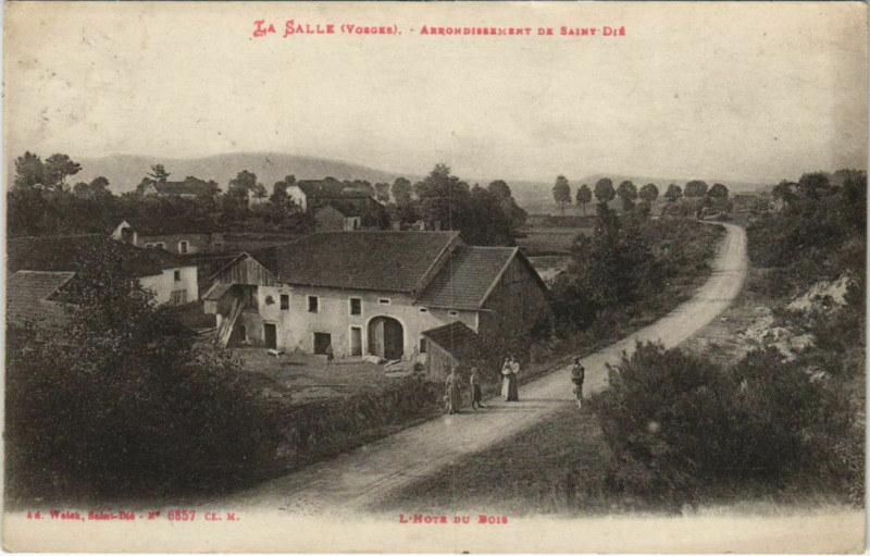 Carte postale ancienne La Salle Arrondissement de Saint-Die à La Salle