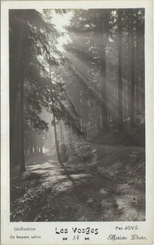 Carte postale ancienne Les Vosges par Jove