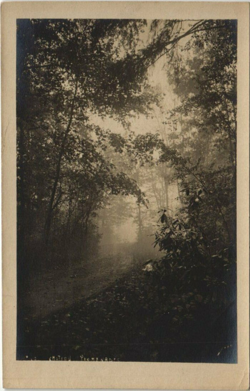 Carte postale ancienne Epinal Chateau carte photo à Épinal