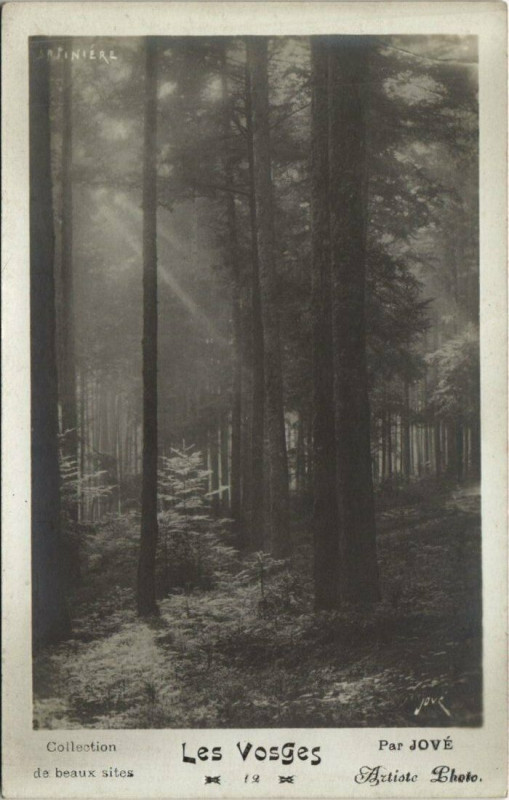 Carte postale ancienne Les Vosges par Jove