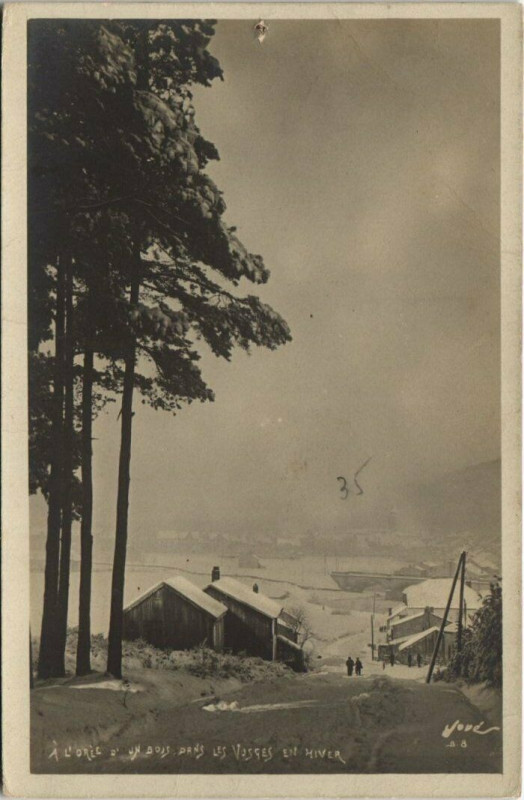 Carte postale ancienne A l'Orée d'un bois, dans les Vosges en Hiver