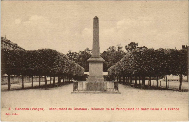 Carte postale ancienne Senones - Monument du chateau à Senones