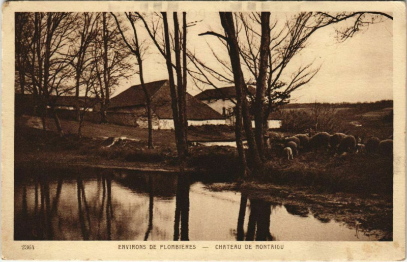 Carte postale ancienne Environs de Plombieres - Chateau de Montaigu