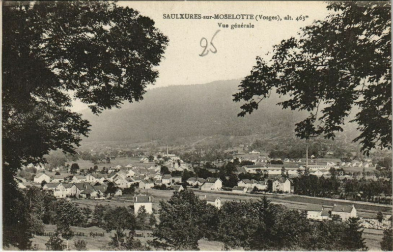 Carte postale ancienne Saulxures-sur-Mostelotte - Vue générale
