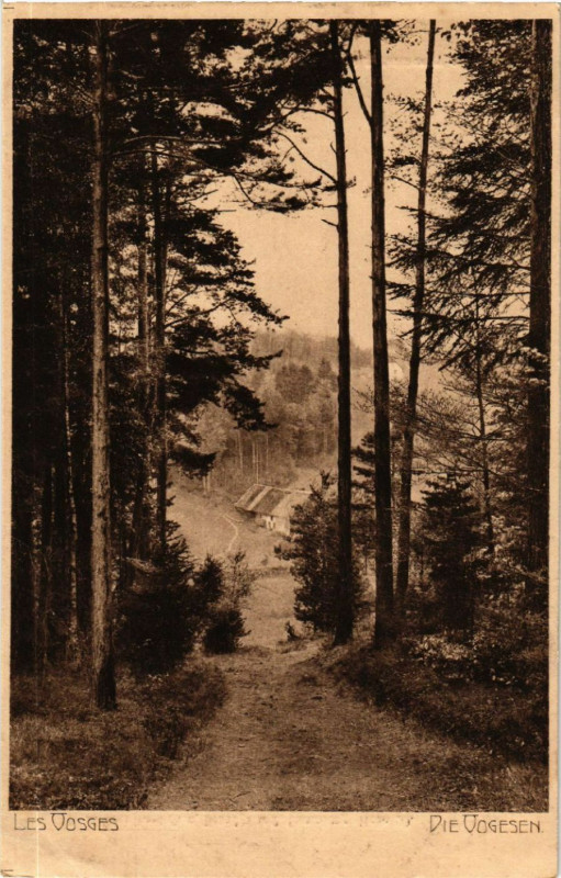 Carte postale ancienne Les Vosges