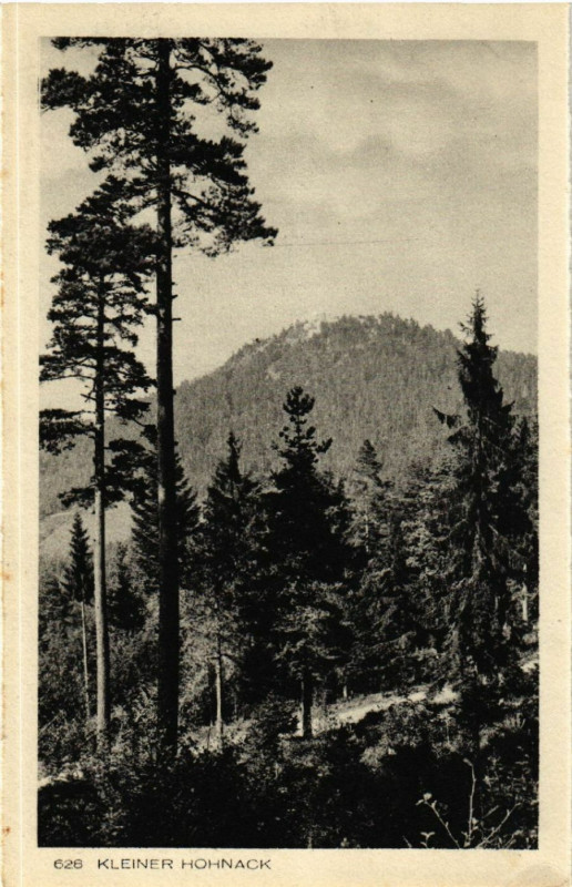 Carte postale ancienne Kleiner Hohnack