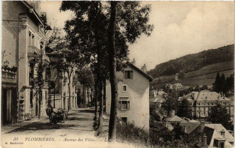 Carte postale ancienne Plombieres Avenue des Villas.