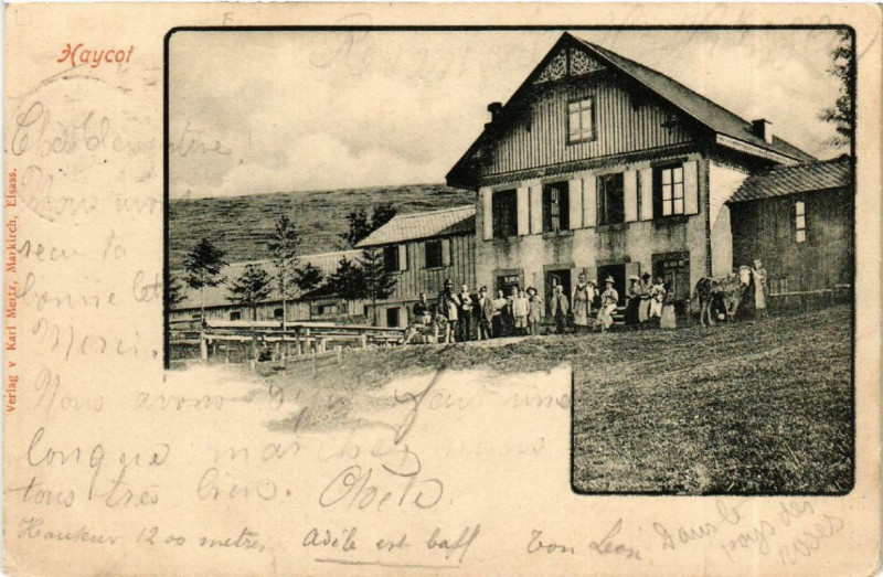 Carte postale ancienne Haycot