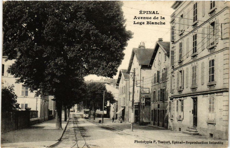Carte postale ancienne Epinal Avenue de la Loge Blanche. à Épinal