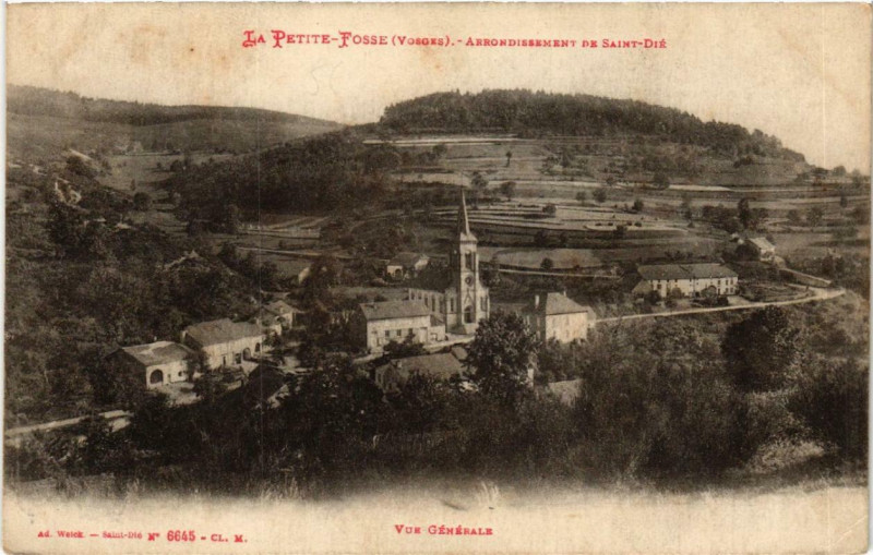 Carte postale ancienne Arrondissement de Saint-Die Vue générale.