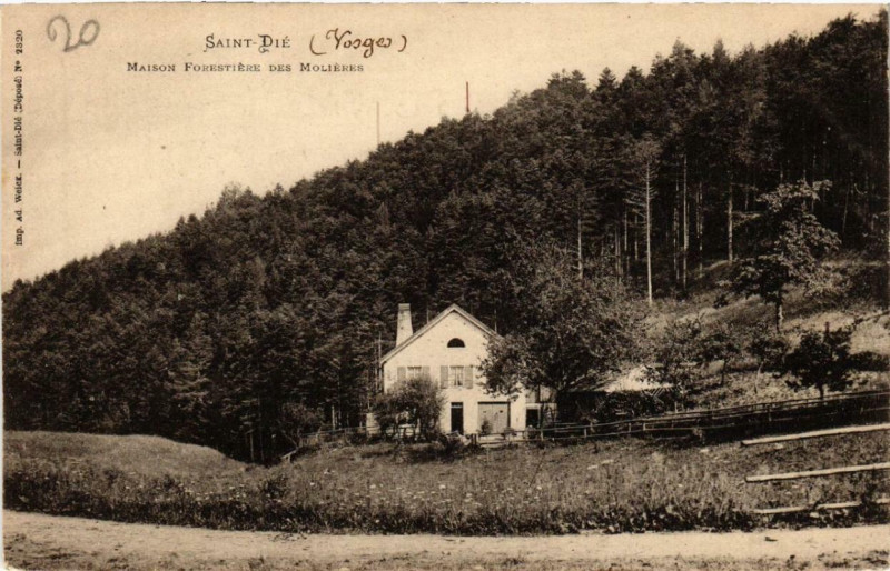 Carte postale ancienne Saint-Die Maison Forestiere des Molieres.