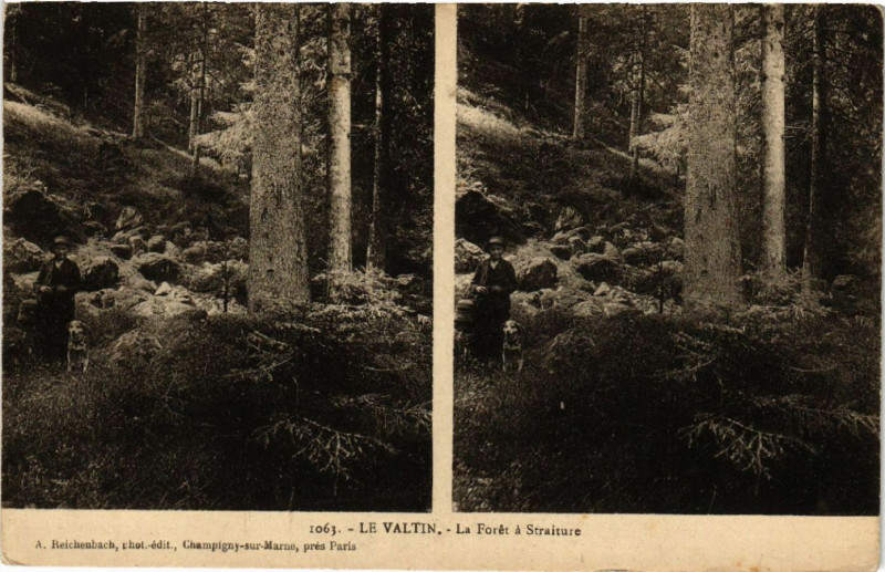 Carte postale ancienne Le Valtin - La Forét a Staiture au Valtin