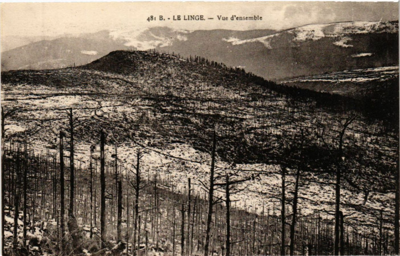 Carte postale ancienne Le Linge - Vue d'ensemble
