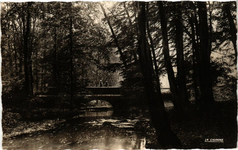 Carte postale ancienne Bains-les-Bains - Pont du Parapluie