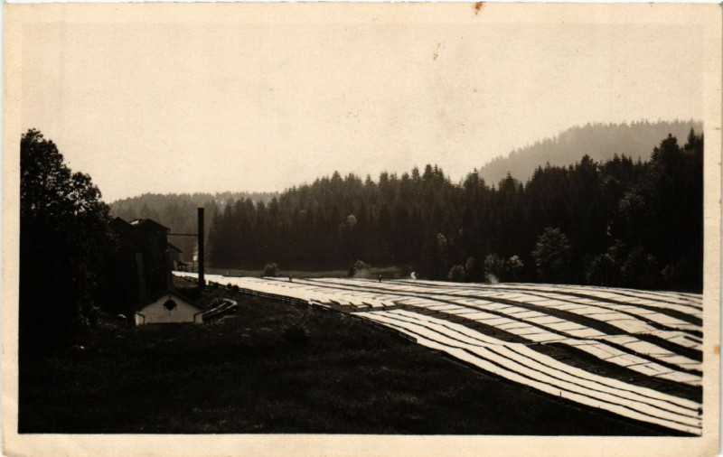 Carte postale ancienne Gerardmer - Blanchiment du linge sur pres à Gérardmer