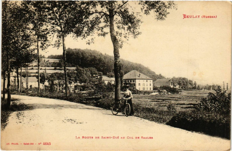 Carte postale ancienne Beulay - La Route de Saint-Die au Col de Saales