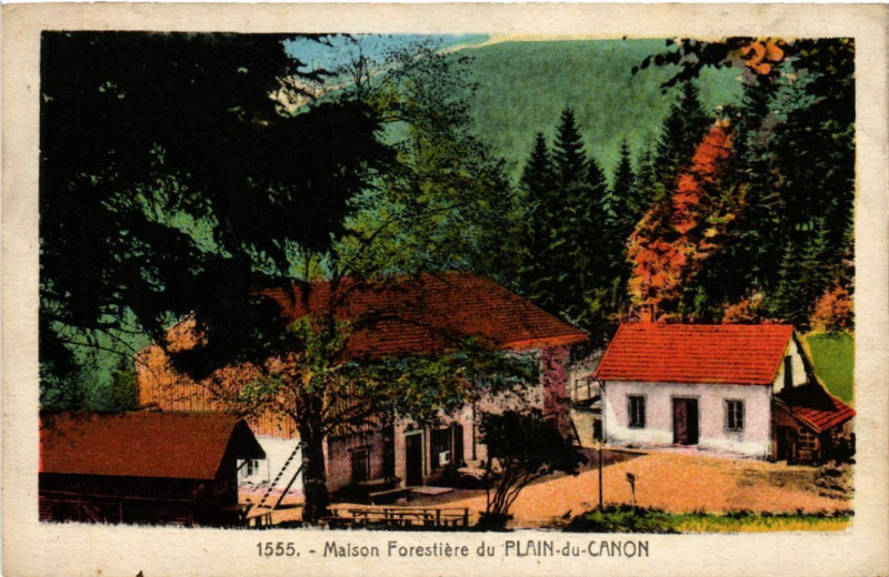 Carte postale ancienne Maison Forestiere du Plain-du Canon