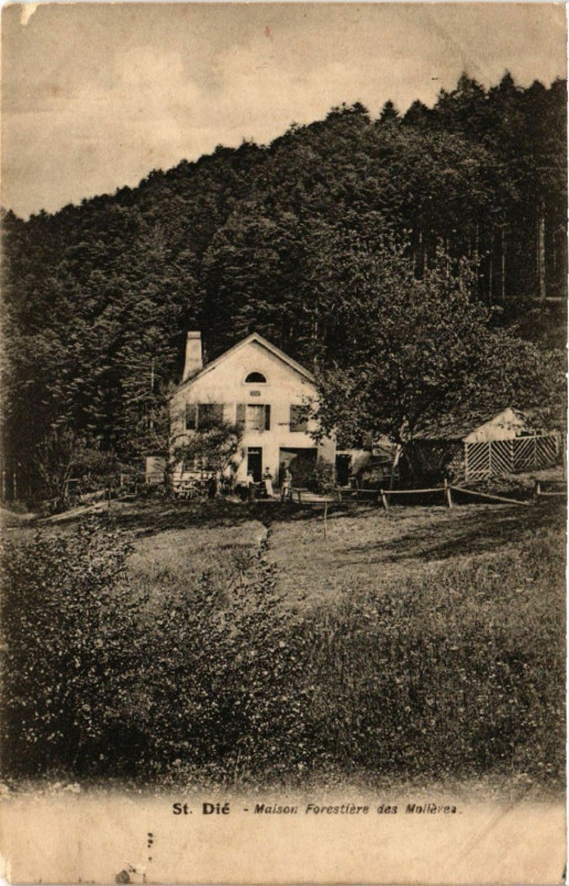 Carte postale ancienne Saint-Die - Maison Forestiere des Maileres