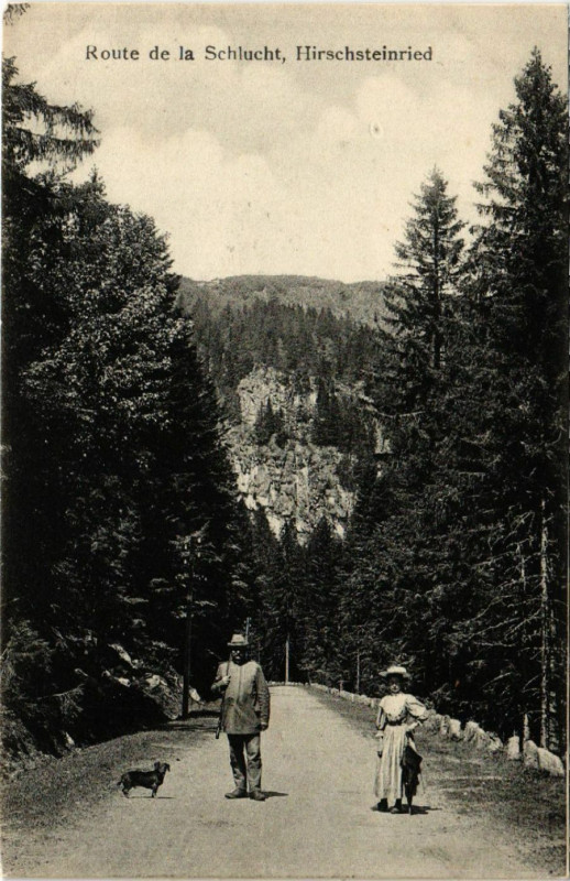 Carte postale ancienne Route de La Schlucht - Hirschsteinried