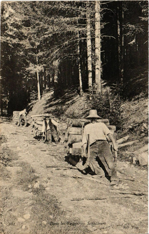 Carte postale ancienne Dans les Vosges - Schlitteurs