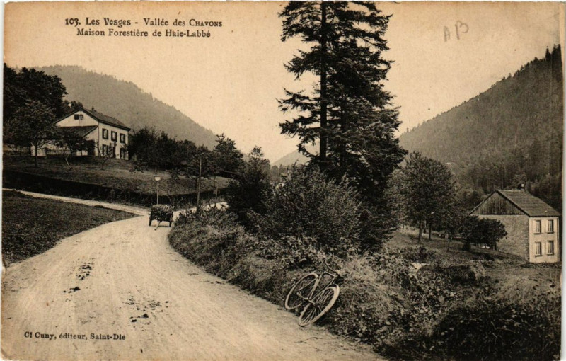 Carte postale ancienne Valléee des Chavons Maison forestier de Haie-Labbe
