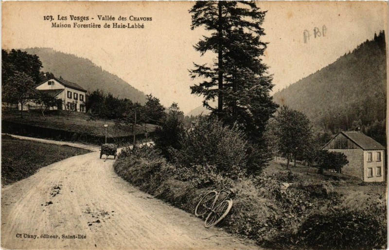 Carte postale ancienne Valléee des Chavons Maison Forestier de Haie-Labbe