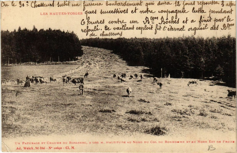 Carte postale ancienne Un Paturage et Chaume du Rossberg