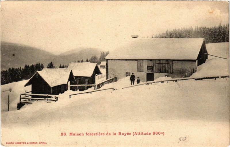 Carte postale ancienne Maison forestiere de la Rayee