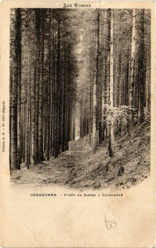 Carte postale ancienne Gerardmer Foret de Sapins a Kichompre à Gérardmer