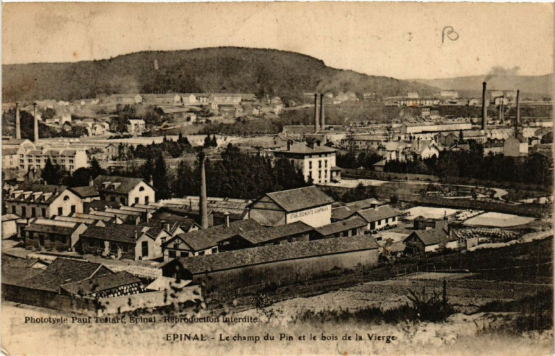 Carte postale ancienne Epinal Le champ du Pin et le bois de la Vierge à Épinal