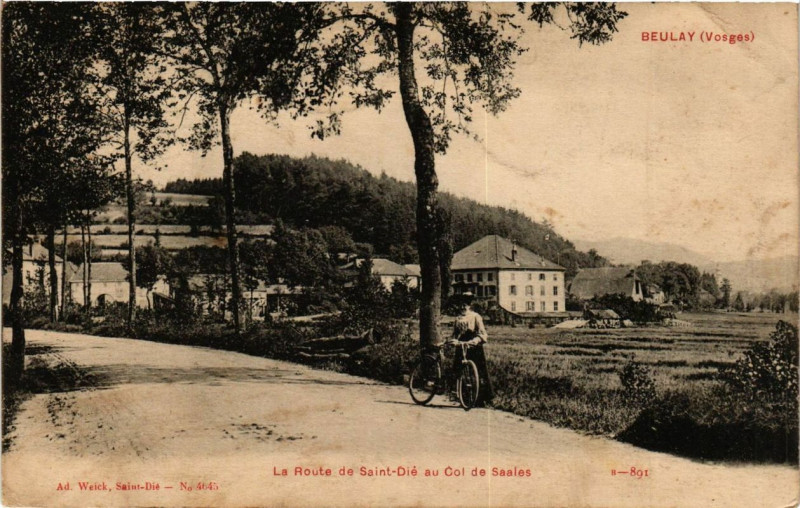 Carte postale ancienne Beulay La Route de Saint-Die au Col de Saales