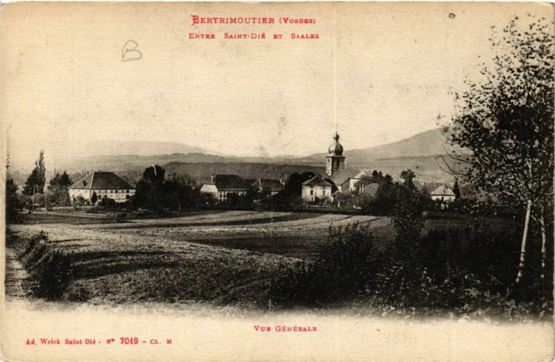 Carte postale ancienne Bertrimoutier vue générale à Bertrimoutier