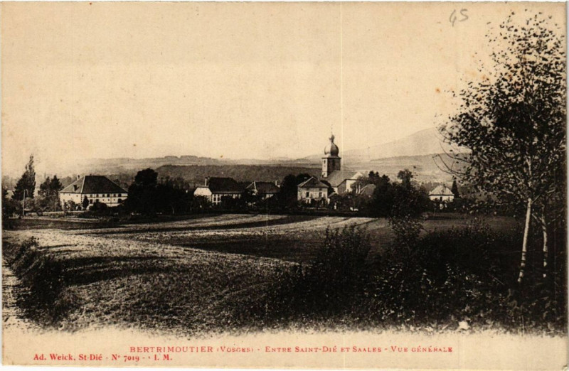 Carte postale ancienne Bertrimoutier vue générale à Bertrimoutier