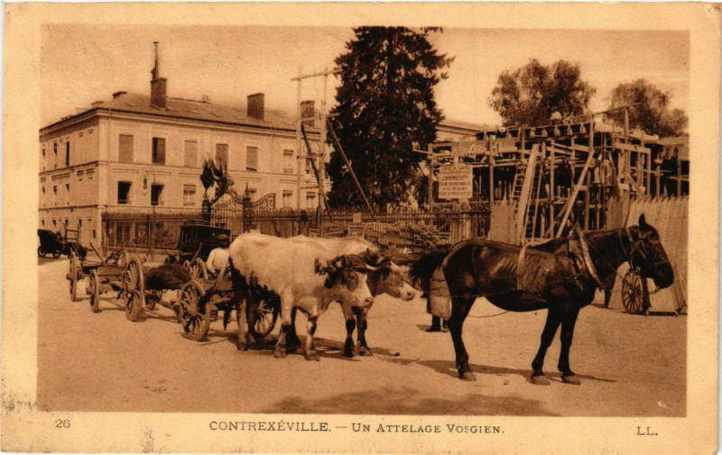 Carte postale ancienne Contrexeville - Un Attelage Vosgien à Contrexéville