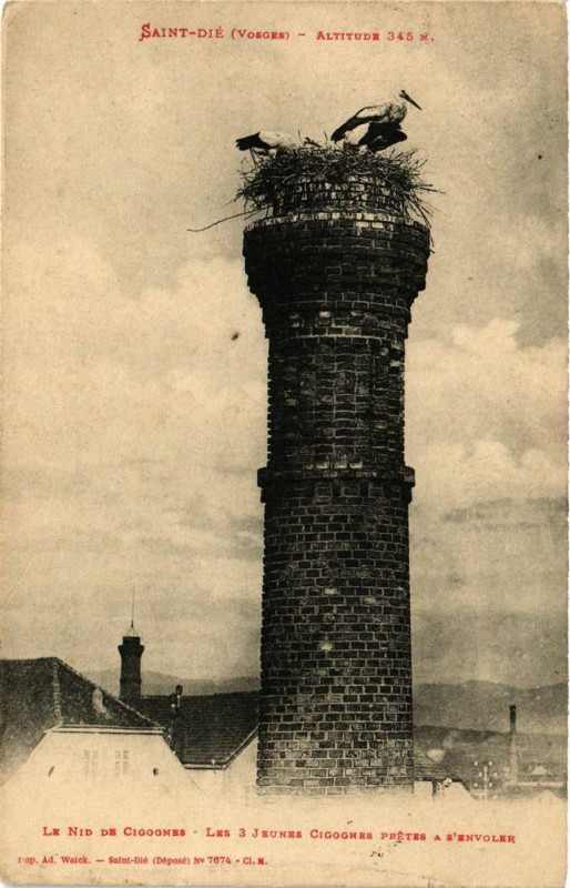 Carte postale ancienne Saint-Die