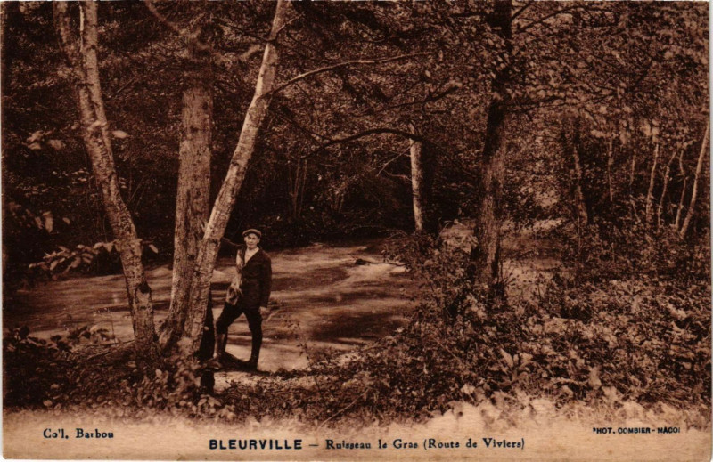 Carte postale ancienne Ruisseau le Gras à Bleurville