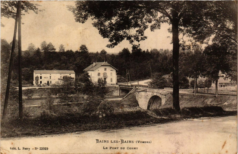 Carte postale ancienne Bains-les-Bains - Le Pont du Coney
