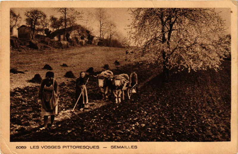 Carte postale ancienne Les Vosges Pittoresque - Semailles