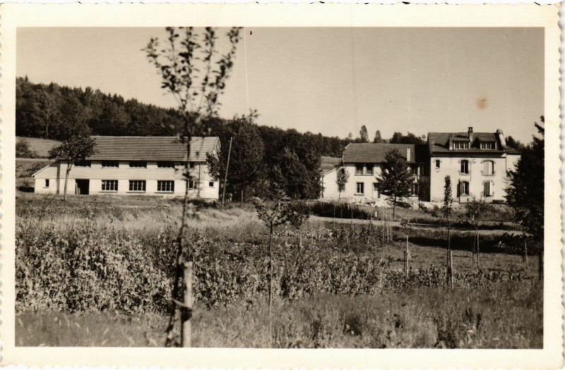 Carte postale ancienne Bonjour de la forain