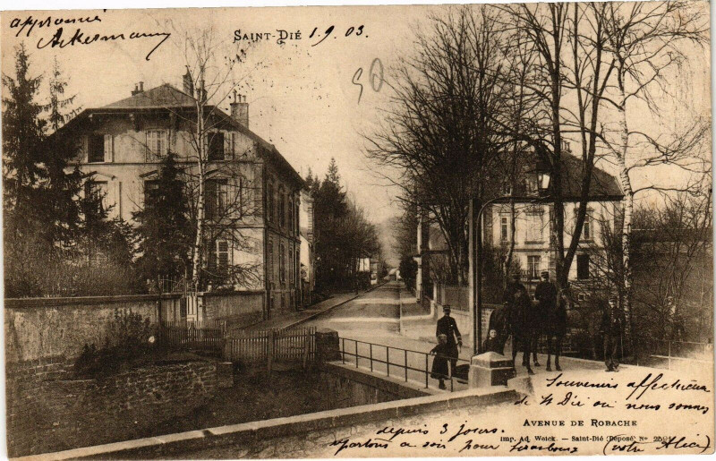 Carte postale ancienne Saint-Die-Avenue de Robache