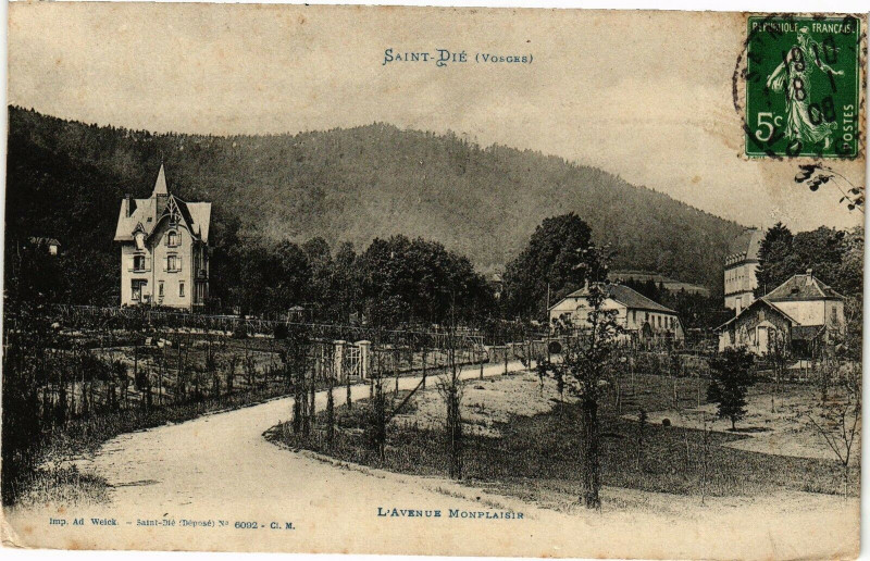 Carte postale ancienne Saint-Die - L'Avenue Montplaisir